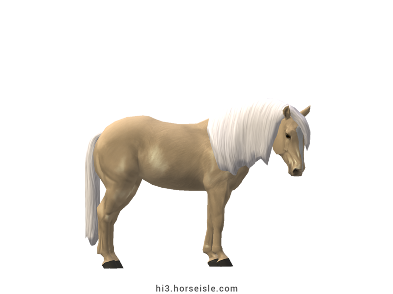 American Quarter Horse Blonde Palomino Coat